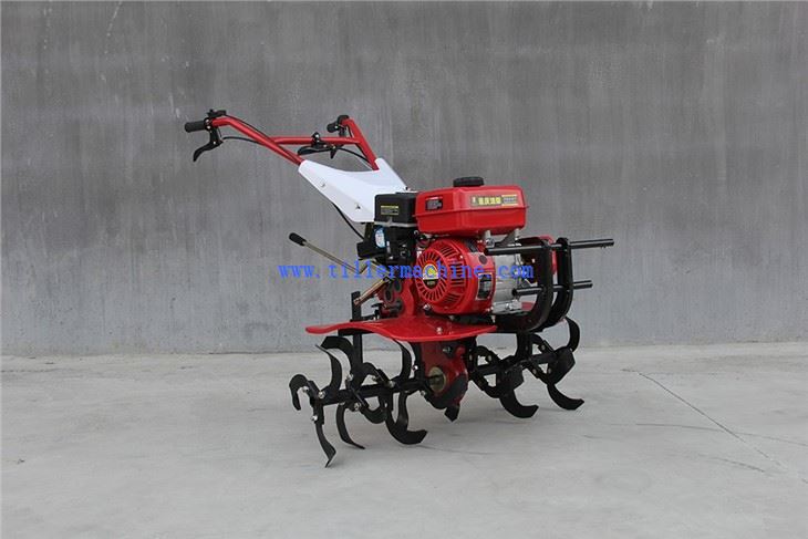 Multifunctional Tiller
